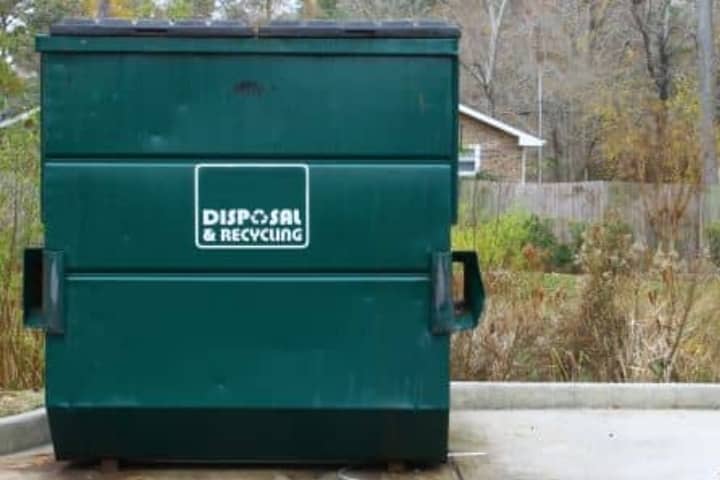 Dumpster Cleaning